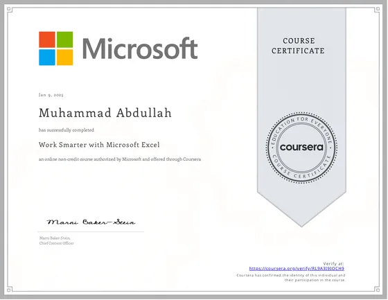 Excel Level 1 certificate preview